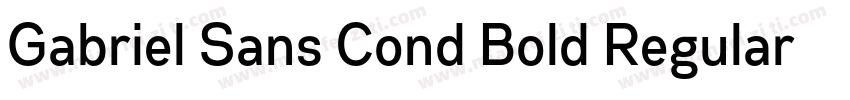 Gabriel Sans Cond Bold Regular字体转换